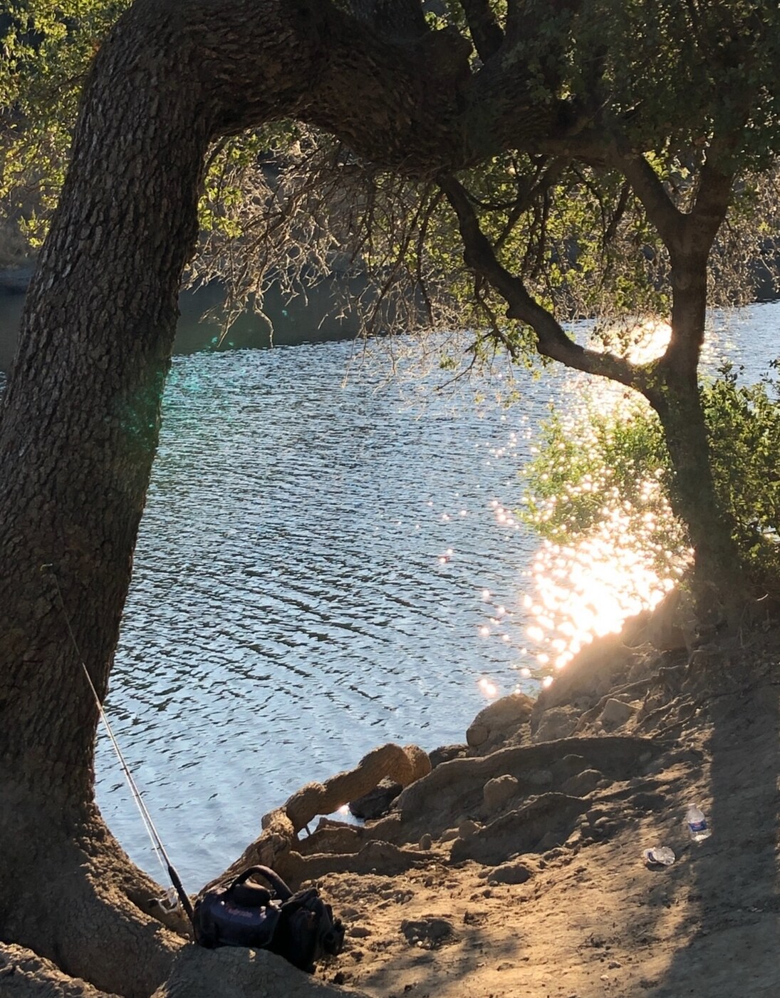 Shaded shoreline and fishing area at an LBEPOA campground